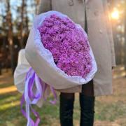 Букет 51 лавандовая гвоздика