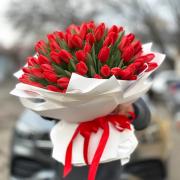101 красный тюльпан