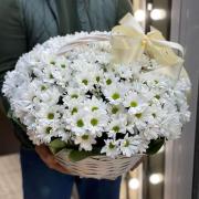 Белая хризантема в корзине