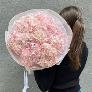 Букет 9 персиковых гортензий