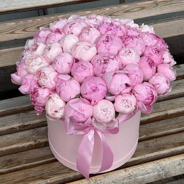 51 розовый пион в коробке