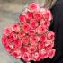 Роза Джумилия, 70 см