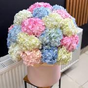Коробка 31 гортензия