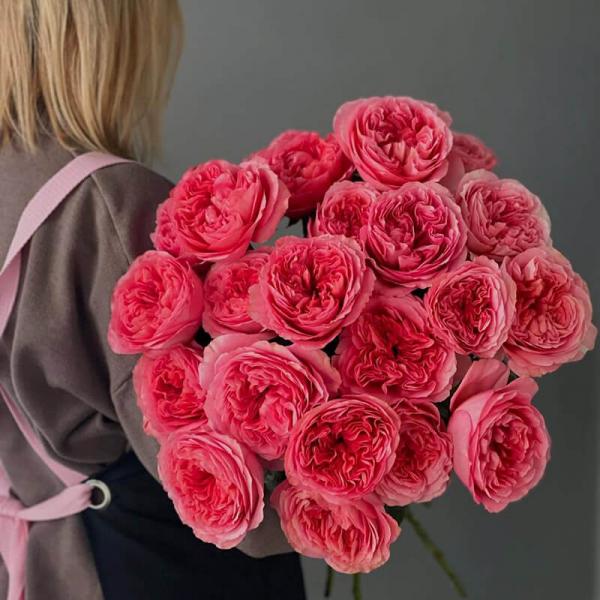 Роза Pink Expression