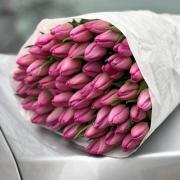Тюльпан розовый (Украина)