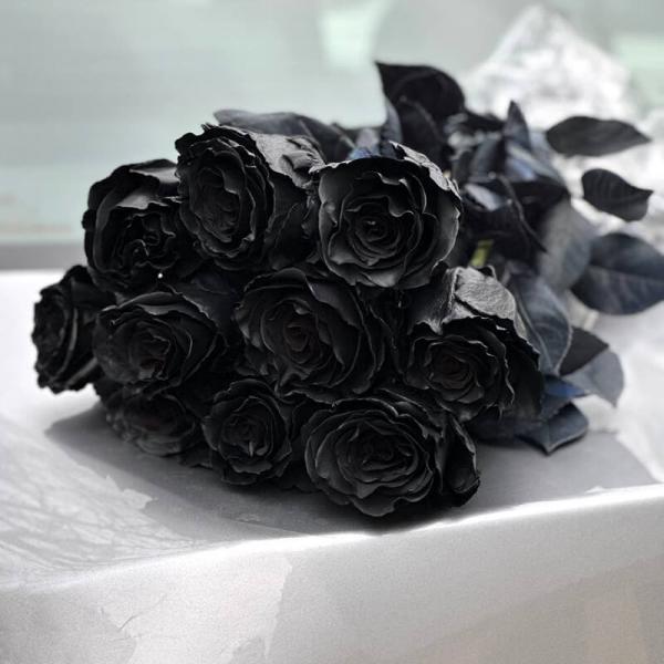 Роза черная Black Rose