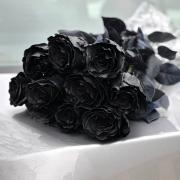 Троянда чорна Black Rose