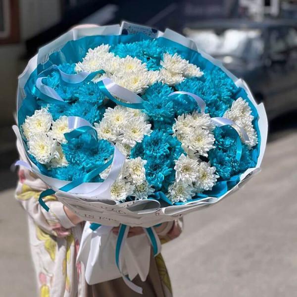 Букет из 25 синих и белых хризантем