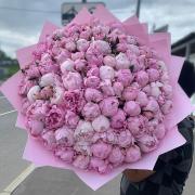 Букет 101 пион Сара Бернар