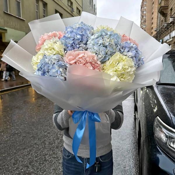 Букет 15 різнокольорових гортензій