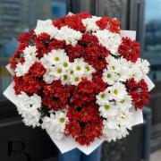 Букет из 25 бордовых и белых хризантем