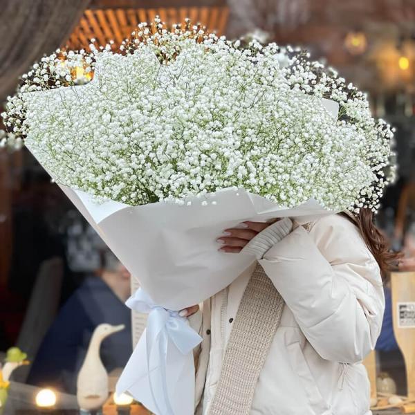 Букет білої гіпсофіли, 25 шт