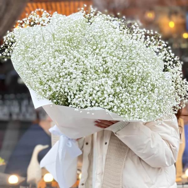 Букет білої гіпсофіли, 25 шт
