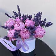 11 пионов с лавандой в коробке