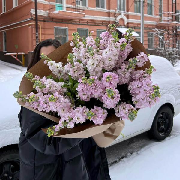 Букет 29 ароматных розовых маттиол