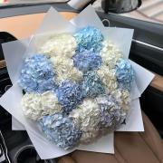 Букет из 15 колумбийских белых и голубых гортензий
