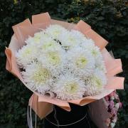 Букет из 15 белых однобутонных хризантем