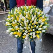 Букет 201 тюльпан мікс