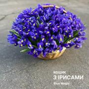 Кошик Синіх ірисів, 101 шт