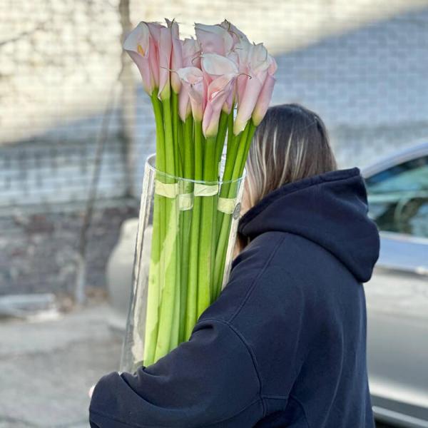 Калла персикова, 80 см