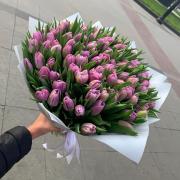 101 нежно-фиолетовый тюльпан