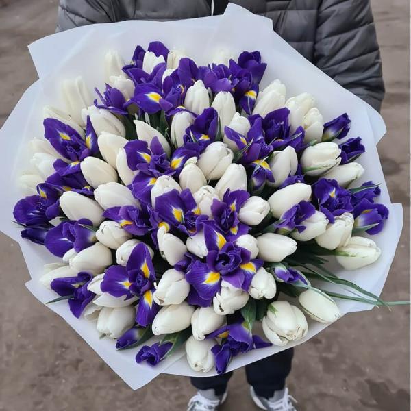 Букет из 65 белых тюльпанов и синих ирисов