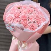 Букет 25 розовых гвоздик (диантусов)
