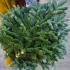 Ель Abies Nobilis/ Абиес Нобилис, 5 кг, ветки