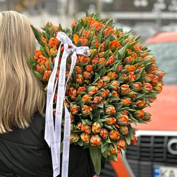 Тюльпан пионовидный (Orange Princess)