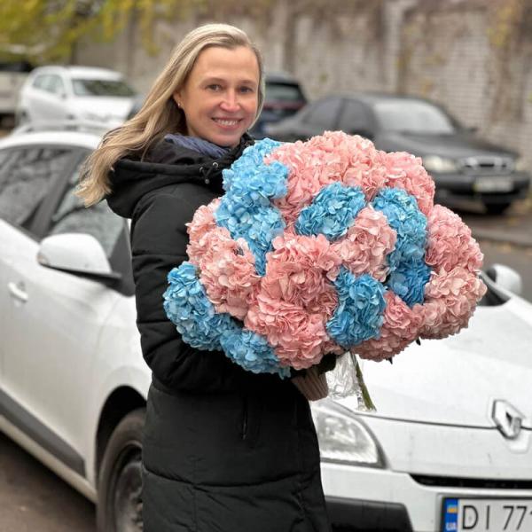 Гортензія персикова (Колумбія)