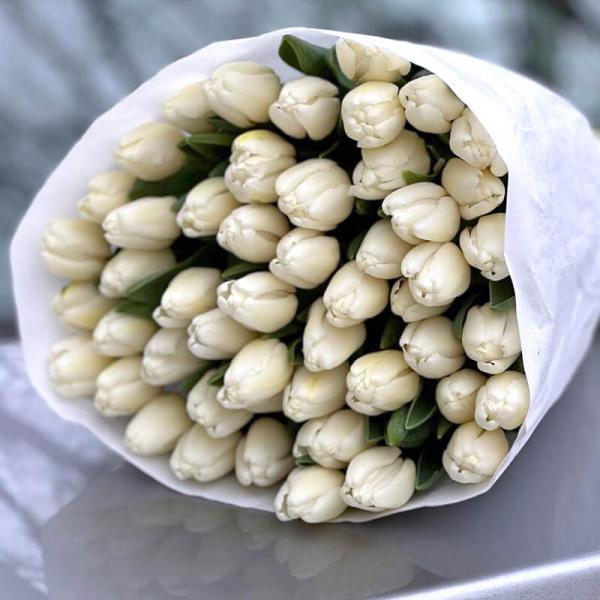Тюльпан белый (Украина)