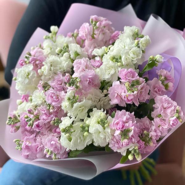 Букет из маттиолы, 19 шт
