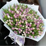 Букет 201 махровый тюльпан микс