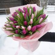 Букет фиолетовых тюльпанов, 51 шт