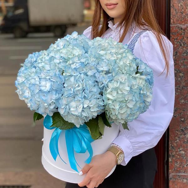 9 голубых гортензий в коробке