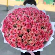 101 розовая роза Джумилия, 70 см
