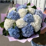 Букет из 15 гортензий