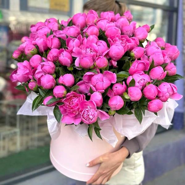 51 пион в коробке