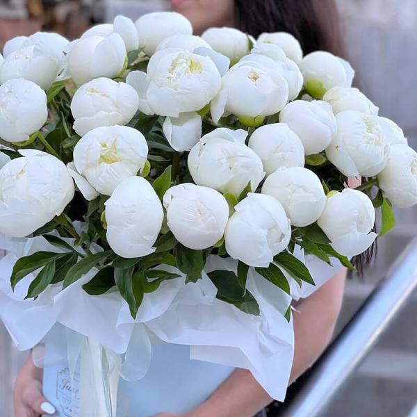 Коробка белых пионов, 31 шт
