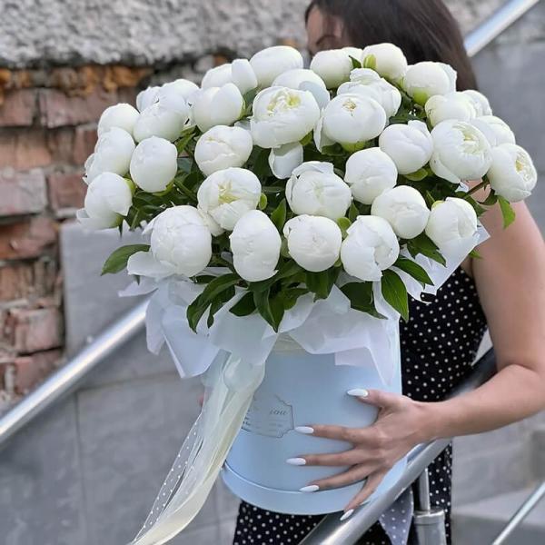 Коробка белых пионов, 31 шт