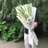 Букет из 15 белых гладиолусов