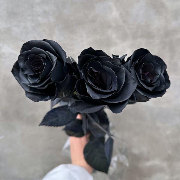 Роза черная Black Rose