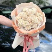 Букет 25 кремовых гвоздик