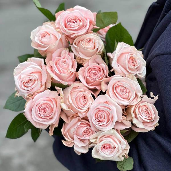 Роза Poma Rosa