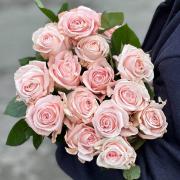 Роза Poma Rosa