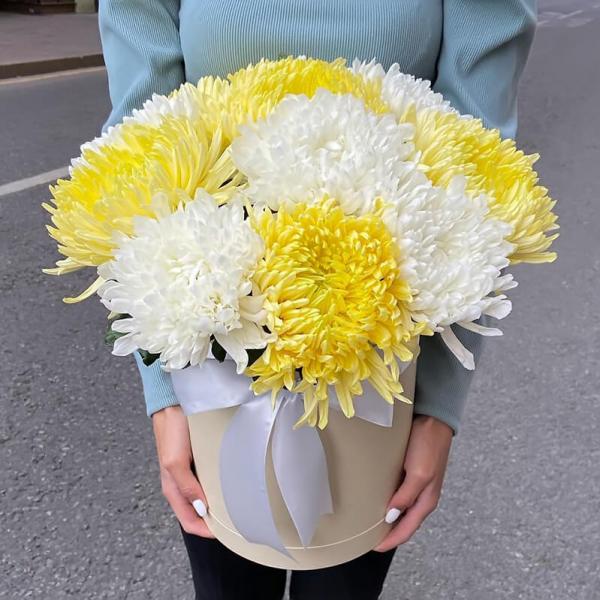 Коробка из 15 пухнастих хризантем