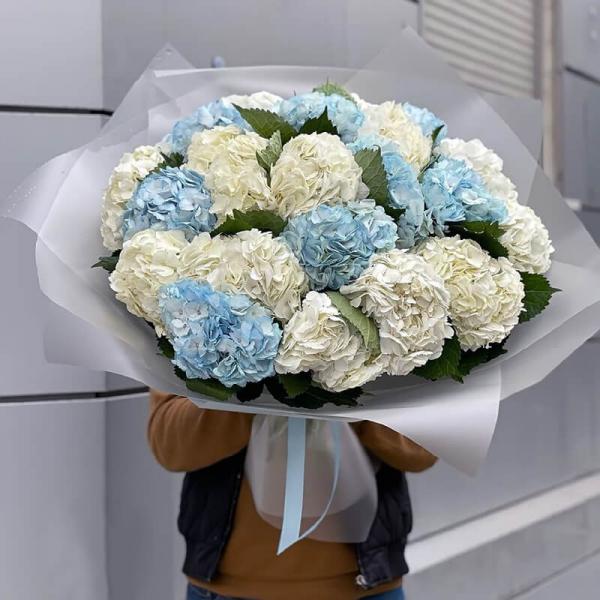 Букет 21 гортензия