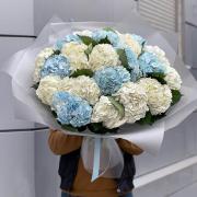 Букет 21 гортензия