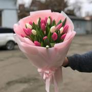 Букет из 25 розовых и белых тюльпанов