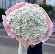 Букет из 35 белых махровых хризантем
